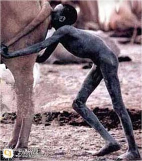 poverty 2 L.jpg